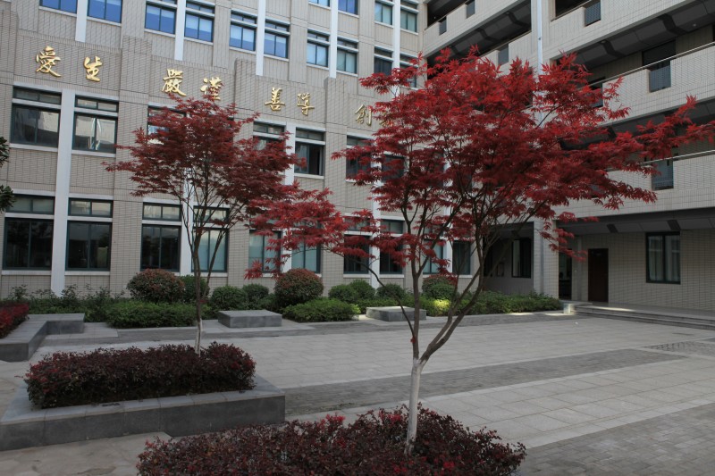 南京衛(wèi)生高等職業(yè)技術(shù)學(xué)校怎么樣、好不好