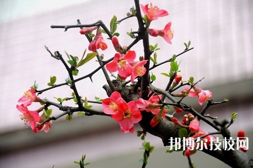 貴州廣播電影電視學(xué)校怎么樣、好不好