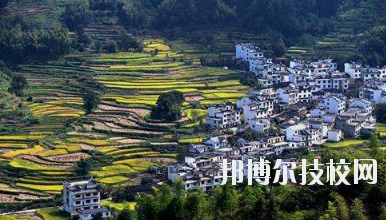 江西婺源茶葉學(xué)校2020年報(bào)名條件、招生要求、招生對(duì)象