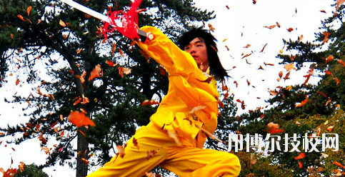 平?jīng)鲠轻嘉奈鋵W(xué)校2020年報(bào)名條件、招生要求、招生對(duì)象