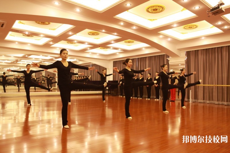 滄州職業(yè)技術(shù)學(xué)院2020年報(bào)名條件、招生要求、招生對(duì)象