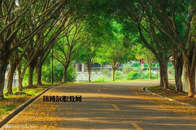 仙桃金園職業(yè)高級中學(xué)2020年報名條件、招生要求、招生對象