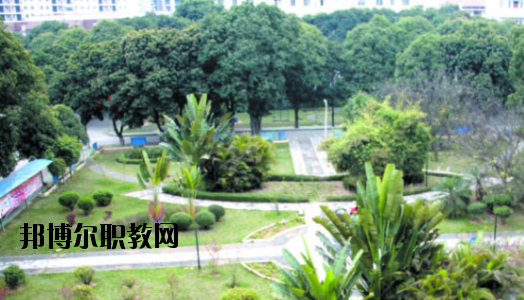 廣西百色農(nóng)業(yè)學(xué)校2020年報(bào)名條件、招生要求、招生對象 