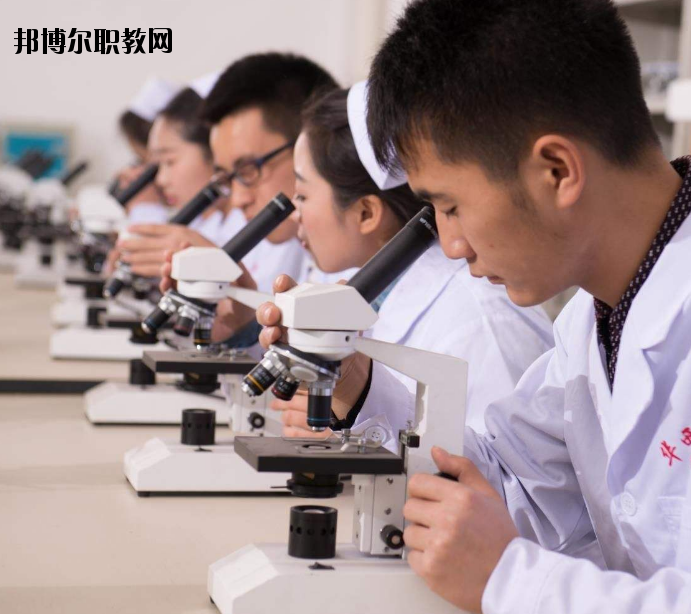 焦作護(hù)理學(xué)校怎么樣、好不好