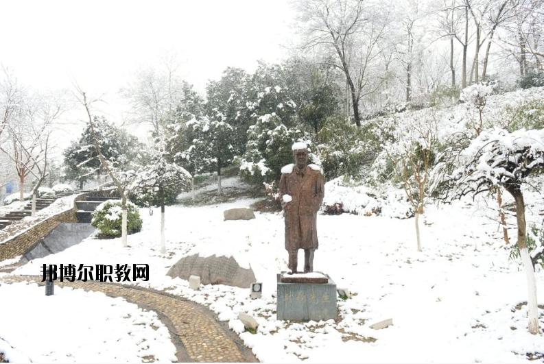 南京工業(yè)大學(xué)2020年報(bào)名條件、招生要求、招生對(duì)象
