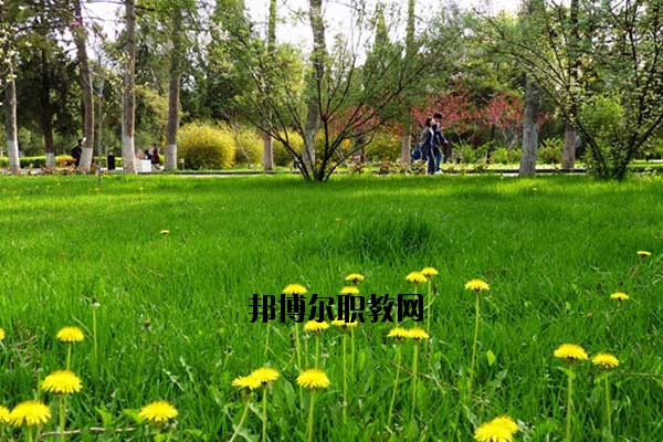 雙江縣職教中心2020年報名條件、招生要求、招生對象