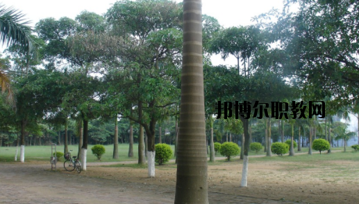 合浦石康職業(yè)技術(shù)學(xué)校怎么樣、好不好