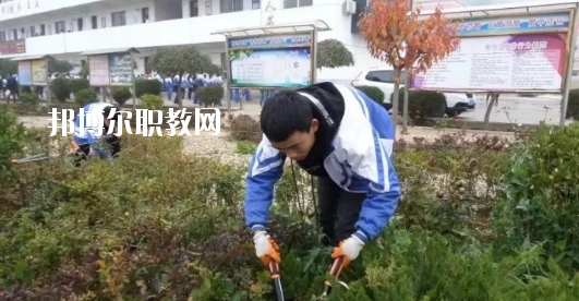 秦安縣古城農(nóng)業(yè)中學(xué)怎么樣、好不好
