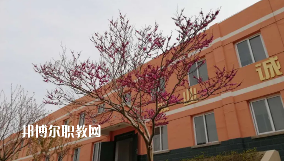 成縣化埡農(nóng)職業(yè)中學怎么樣、好不好