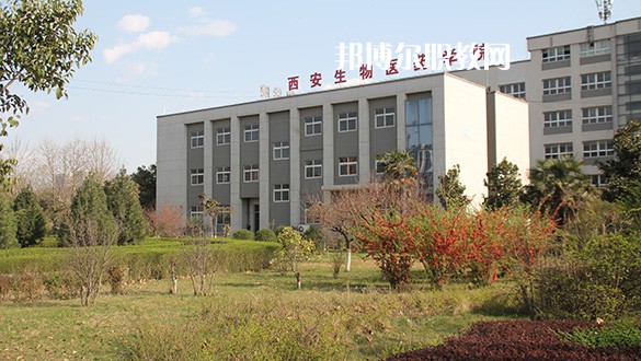 西安2021年衛(wèi)校職業(yè)學校哪家好