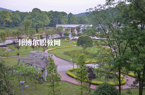 重慶2021年初中生有哪些汽修學校