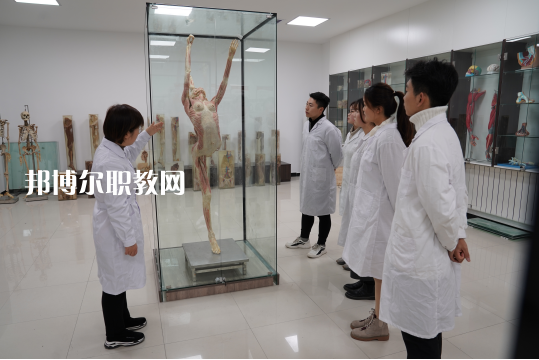 西安2021年有哪些大專學校有衛(wèi)校專業(yè)