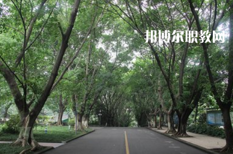 重慶2021年衛(wèi)校在哪