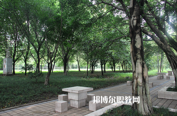 重慶2021年中專學(xué)校畢業(yè)是什么文憑