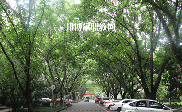 重慶2021年讀中專學(xué)?？梢钥即髮W(xué)嗎