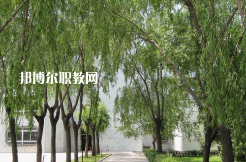 新疆喀什地區(qū)衛(wèi)生學(xué)校2021年報(bào)名條件、招生要求、招生對(duì)象