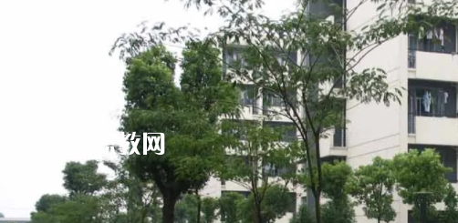 安徽工商行政管理學(xué)校怎么樣、好不好