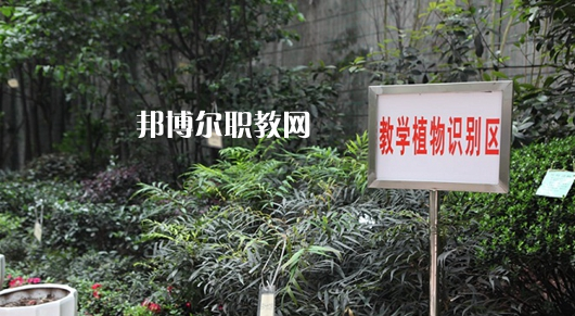 重慶風(fēng)景園林技工學(xué)校2022年學(xué)費(fèi)、收費(fèi)多少
