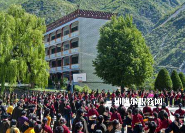 四川省藏文學校2022年報名條件、招生要求、招生對象
