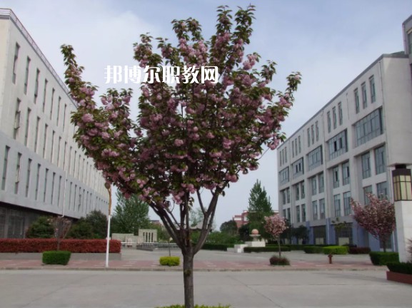 陳倉區(qū)職業(yè)教育中心2022年報名條件、招生要求、招生對象