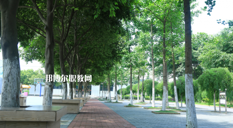 樂山計算機學校怎么樣、好不好