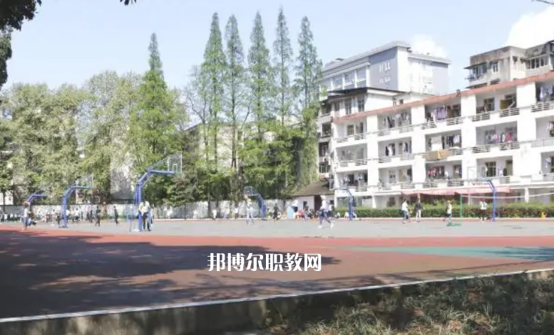 四川省檔案學校網(wǎng)站網(wǎng)址