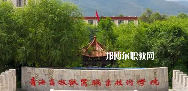青海高職?？拼髮W(xué)2023年排名(文科)