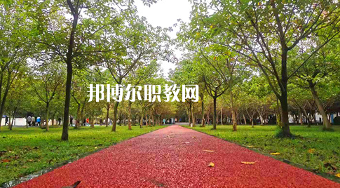 2023年四川國盛技工學(xué)校醫(yī)護(hù)救援部學(xué)費、收費多少