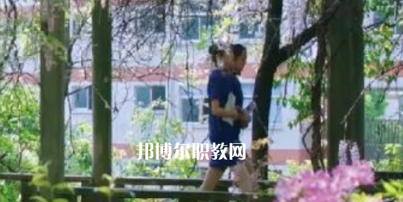 2023金華市成功學(xué)校招生計(jì)劃 招生人數(shù)是多少(附要求、條件、對(duì)象)
