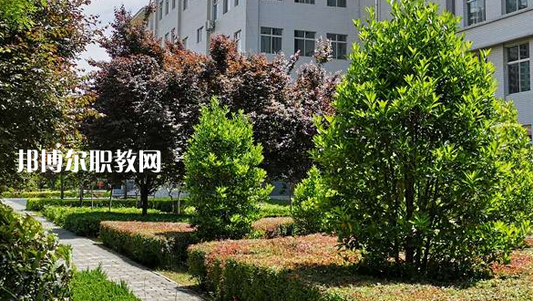 2023渭南技師學院招生計劃 招生人數(shù)是多少(附要求、條件、對象)