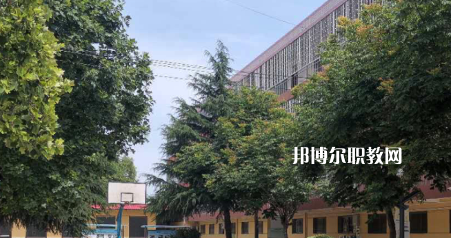 2023楊凌師范學(xué)校招生計(jì)劃 招生人數(shù)是多少(附要求、條件、對(duì)象)
