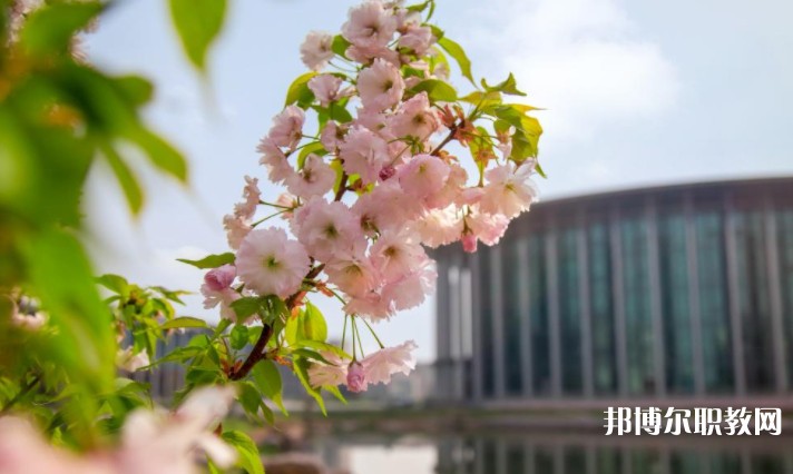 河南藝術(shù)職業(yè)學(xué)院中專部怎么樣、好不好