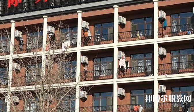 2024大連國際舞蹈學校招生計劃 招生人數(shù)是多少(附要求、條件、對象)