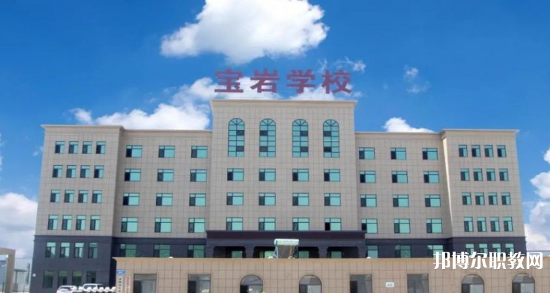 2025沈陽(yáng)寶巖藝術(shù)學(xué)校招生計(jì)劃 招生人數(shù)是多少(附要求、條件、對(duì)象)